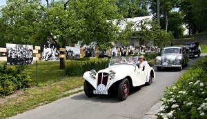 foto clanek 010